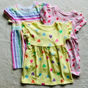 18 Month Garanimals Print Dress Bundle